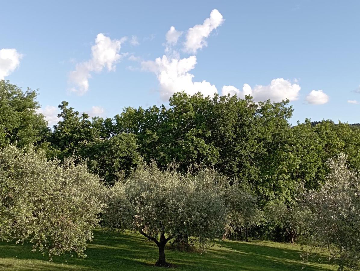 Villa Luna Comeana Exterior foto