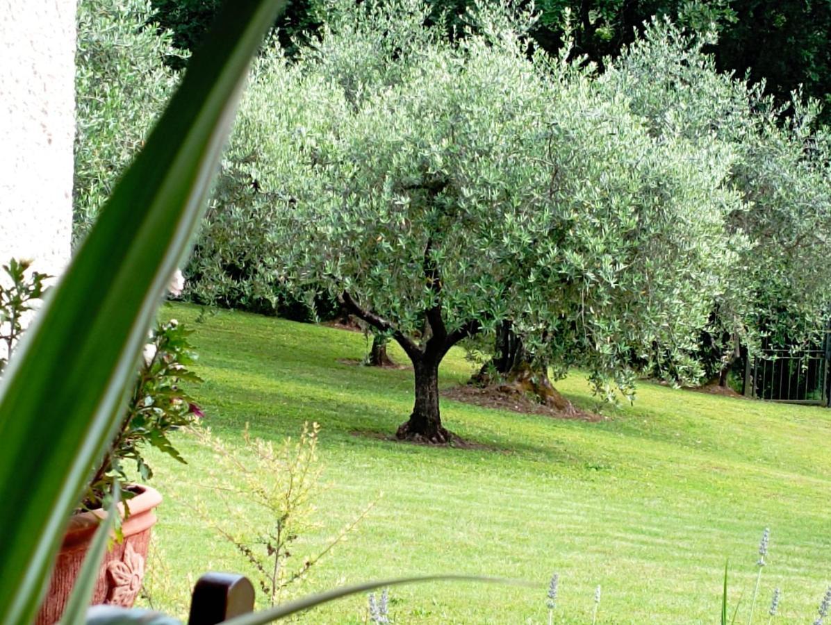 Villa Luna Comeana Exterior foto